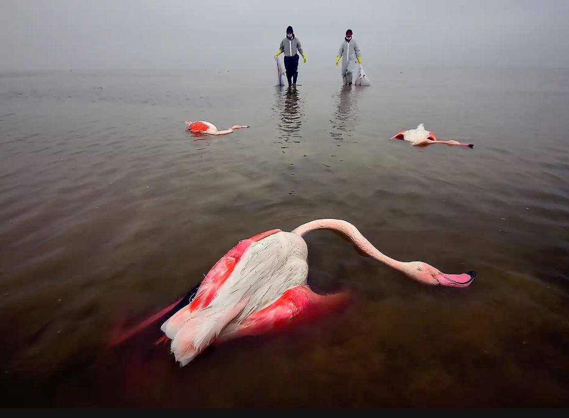 2022 ÖDÜLLERİ BELLİ OLDU