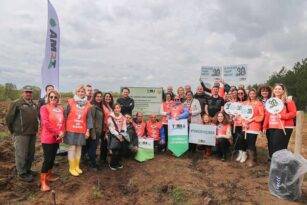 TEMA VAKFI’NDAN 7 BÖLGEYE 7 ORMAN