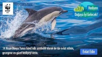 Bugün Dünya Yunus Günü!