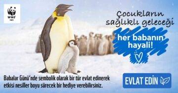 WWF’DEN ÇAĞRI… PENGUEN EVLAT EDİN BABANI SEVİNDİR