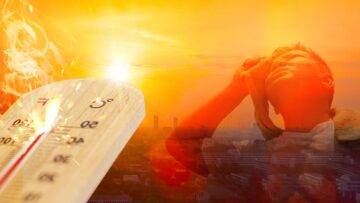 KAVURUCU ÇÖL SICAKLARINA DİKKAT!