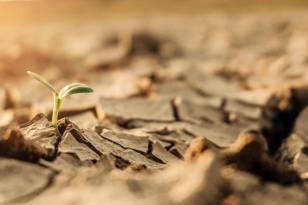 AFRİKA KITASI BÜYÜKLÜĞÜNDE ARAZİ TAHRİP OLDU