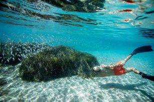 GÜMÜŞ BALIĞININ EVİ DENİZ ÇAYIRI… DR. MERT GÖKALP ANLATIYOR