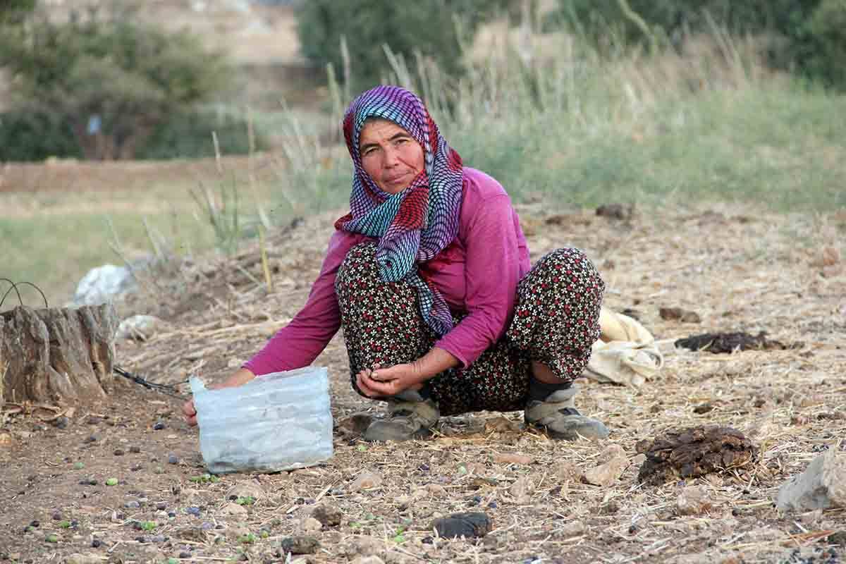 kaş-patara-antik (10)