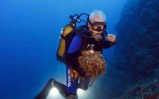 AKSONA İLE MAVİNİN BÜYÜSÜNDE