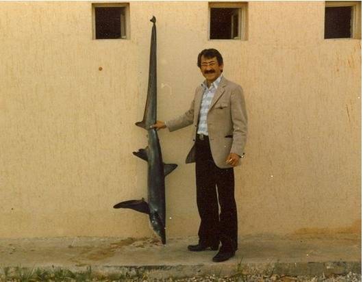 KÜRESEL TERMİNOLOJİYE TERS AKADEMİK İNAT… PROF. DR. FERİT BİNGEL’İN ANISINA