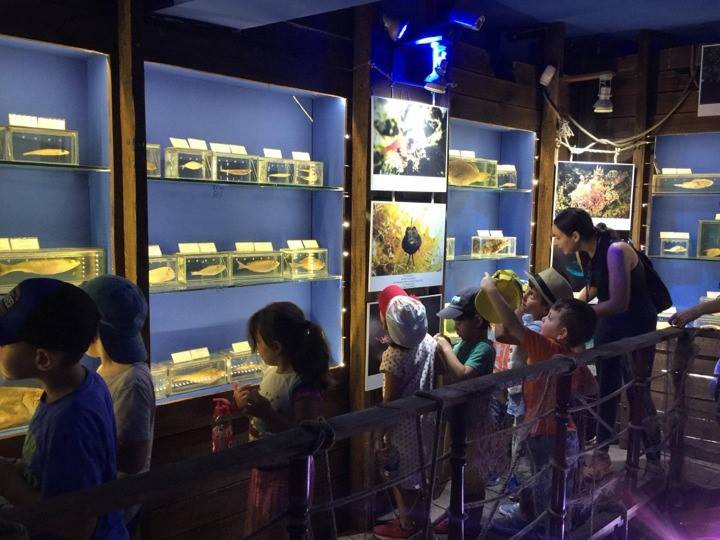 ANTALYA DENİZ MÜZESİNE UZMAN YORUMU: MÜZE ORTAMI ÇOCUKLARA ÖLÜM, GERÇEKLİK, YAPAYLIK GİBİ KAVRAMLARLA KARŞILAŞMA FIRSATI VERİR