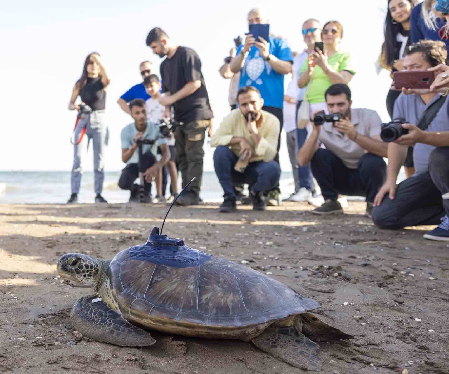 KIZKALESİ VE MERSİN ÜNİVERSİTESİ DENİZE BIRAKILDI