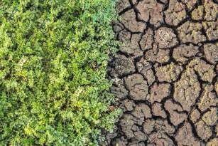 TEMA’DAN ÇAĞRI: TOPRAK İÇİN BİR OLALIM