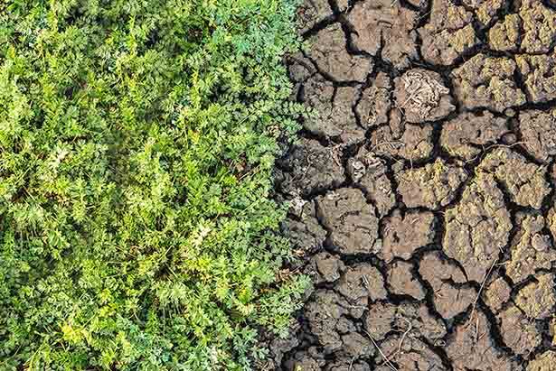 TEMA’DAN ÇAĞRI: TOPRAK İÇİN BİR OLALIM