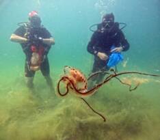 SUDA DANS ETMESİNE ALDANMAYIN KAPSÜLLERİYLE ZEHİR SAÇIYOR