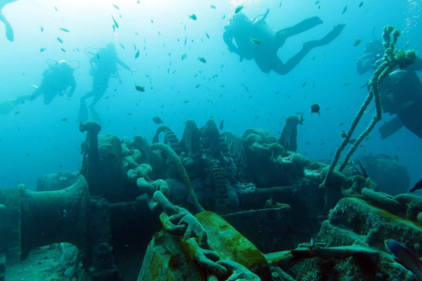 Kızıldeniz- Thistlegorm (17)