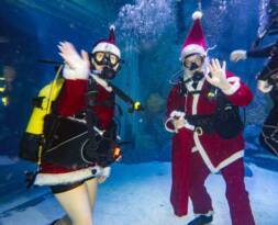 NOEL BABA VE NOEL ANNE ÖZEL ÇOCUKLAR DALDI