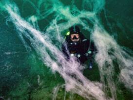 MÜSİLAJ İLE MÜCADELEDE KOMPOST YÖNTEMİ UYGULANMALI