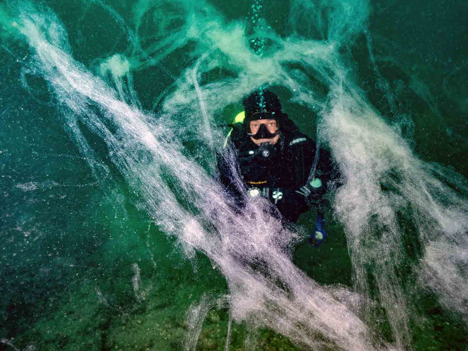 MÜSİLAJ İÇİN ÖNLEM ALMA ZAMANI GELMEDİ Mİ? PROF. DR. SARI SORUYOR