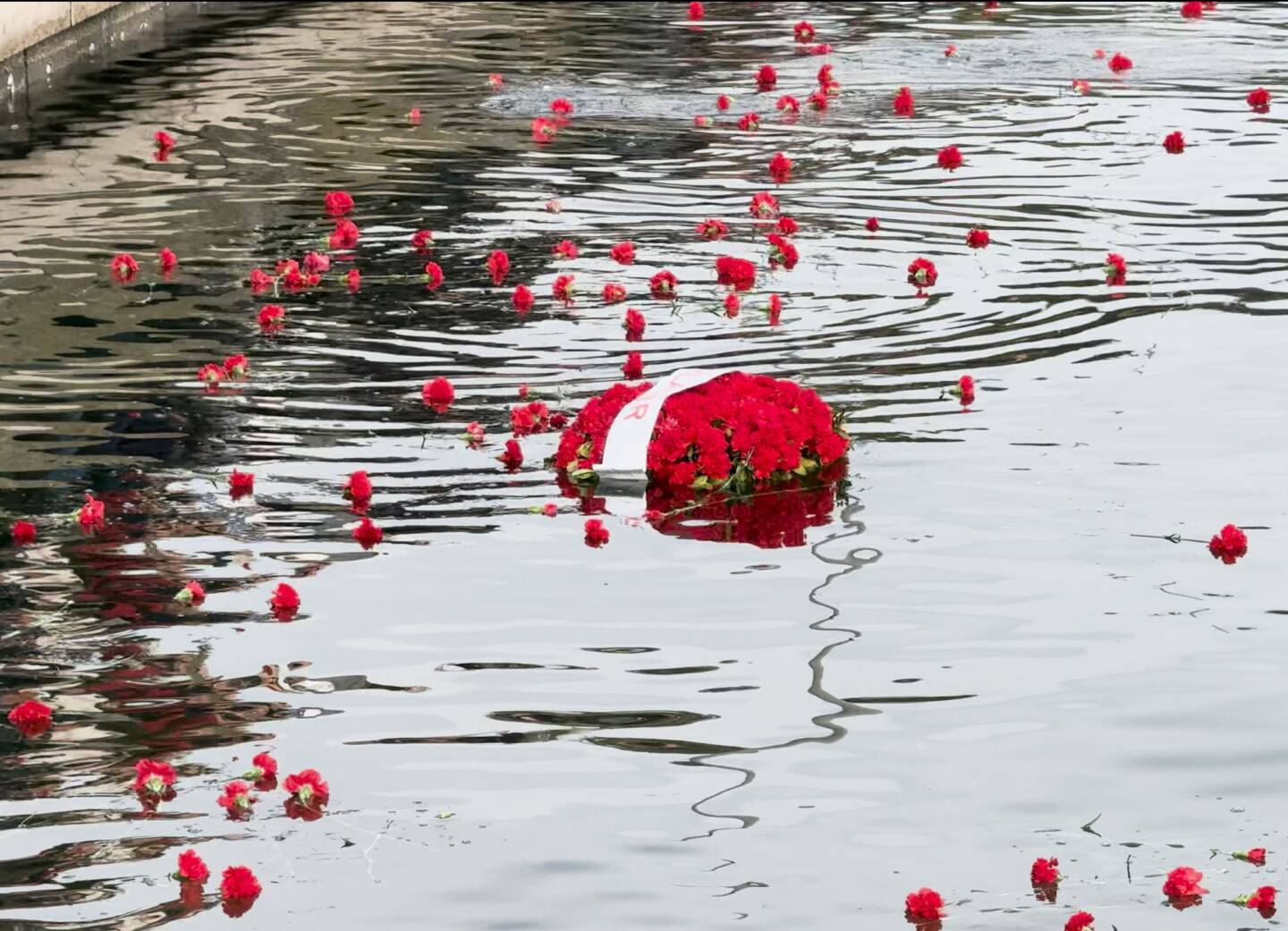 KARANFİLLER BİR BAVUL BİN HATIRANIN MÜBADELESİ İÇİN DENİZE BIRAKILDI