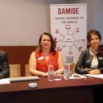 damise 3