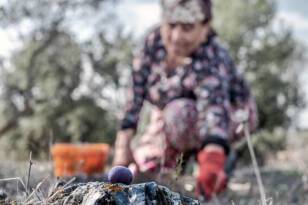 KURAKLIĞA VE AÇLIĞA BÜYÜK ADIM