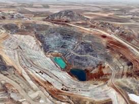 MADEN İÇİN ZEYTİNİME DOKUNMA!