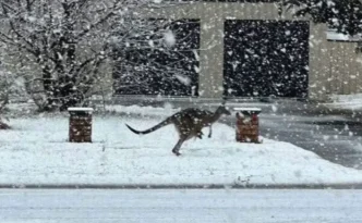 DÜNYANIN DİĞER YARIMKÜRESİNDE 45 YILDIR GÖRÜLMEMİŞ KIŞ