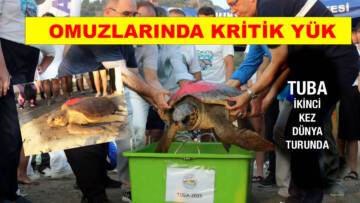 CARETTA TUBA, UYDU CİHAZIYLA İKİNCİ KEZ DÜNYA TURUNDA