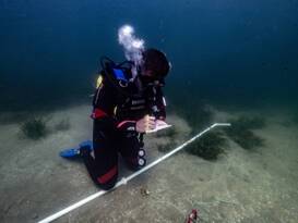 PİNALAR VE DENİZ ÇAYIRLARI İÇİN BİLİMSEL PROJELER