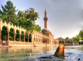 MİZAHIN GÜCÜ TARİHİN BEŞİĞİNDE BULUŞACAK