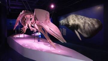 TOPRAKTAN ÇIKAN OKYANUSUN DEVLERİ