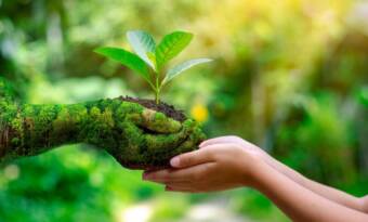 EKOLOJİ HAREKETLERİNDEN BARIŞ ÇAĞRISI