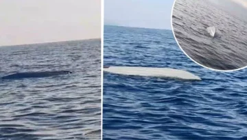 KARADENİZ’DE YİNE DENİZ ARACI ALARMI! SAHİL GÜVENLİK İNCELEME YAPIYOR