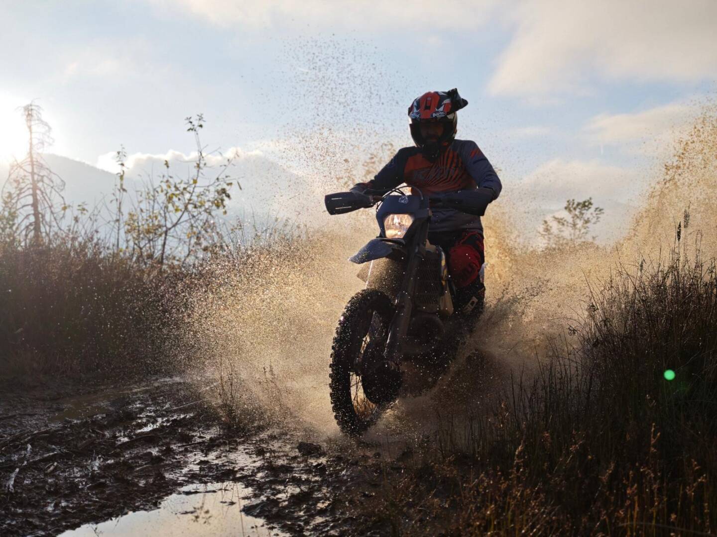 1762260016_IMG_20251102_WA0015