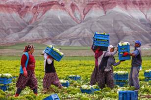 TOPRAK YOKSA SU, SU YOKSA GIDA YOK!