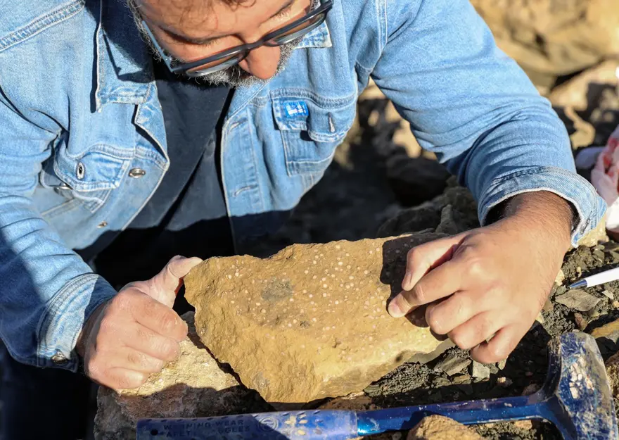 BİNGÖL’DE 50 MİLYON YILLIK DENİZ CANLISI FOSİLLERİ BULUNDU