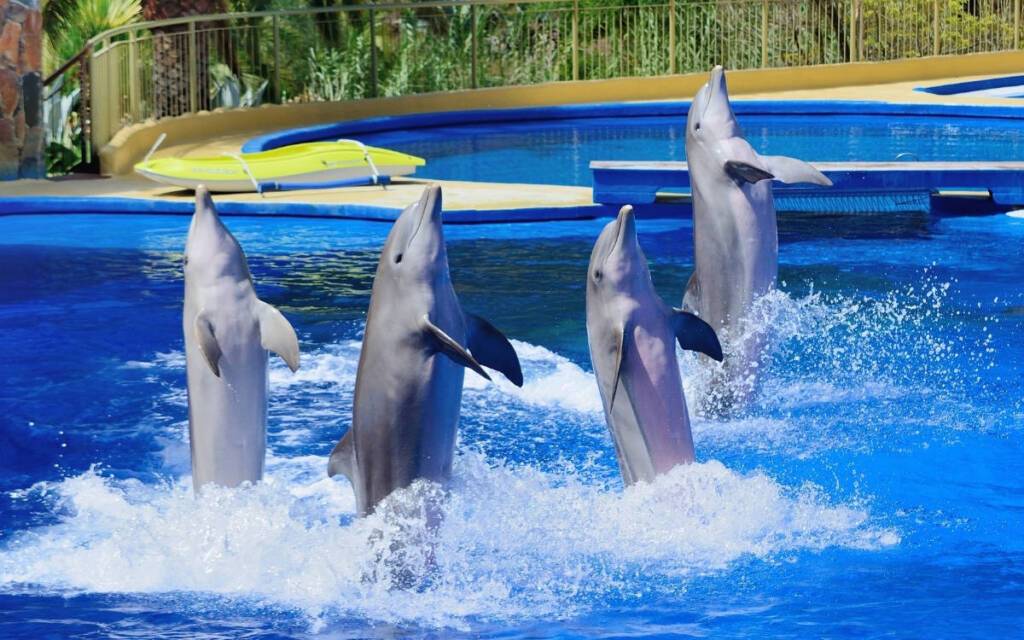 featured
