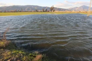 ÇİFTÇİ NE YAPACAĞINI ŞAŞIRDI… HATAY’DA TARLALAR SU İÇİNDE