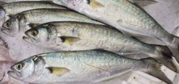 LÜFERİN IZGARA MACERASI