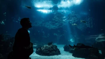 DENİZ TABANINDA DÜNYA’NIN İÇİNE AÇILAN BİR PENCERE KEŞFEDİLDİ