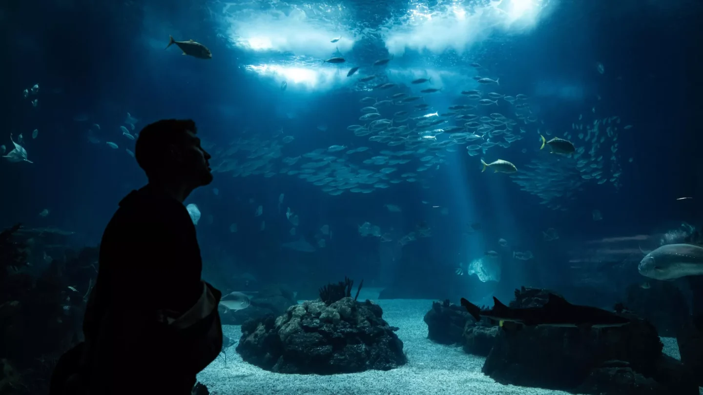 DENİZ TABANINDA DÜNYA’NIN İÇİNE AÇILAN BİR PENCERE KEŞFEDİLDİ