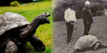 194 YILLIK EFSANEYE BÜYÜK YALAN: ÖLÜM HABERİ SAHTE ÇIKTI