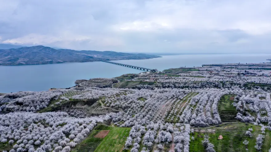 110 BİN DEKAR ALANDA ÜRETİM YAPILIYOR… ŞİDDETLİ YAĞIŞLAR ÖNLEM ALDIRDI