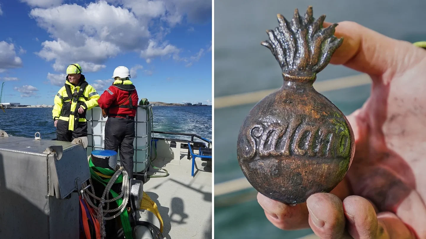 savaş gemisi, danimarka, nelson