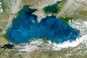 karadeniz 11