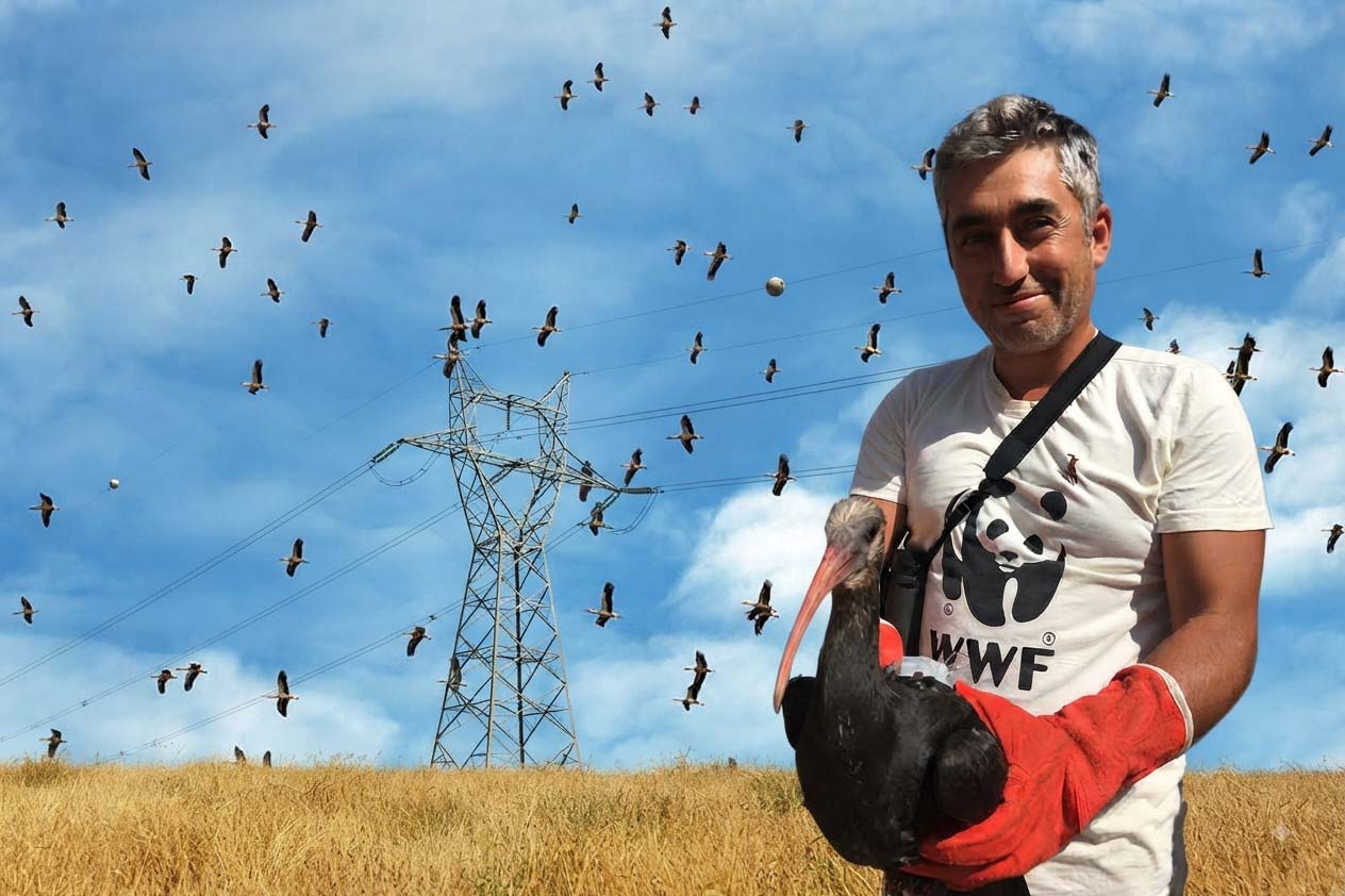 leylek 232